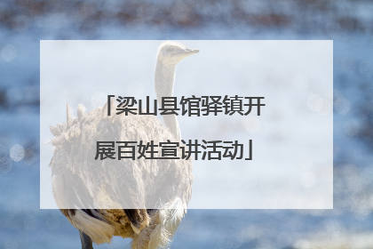 梁山县馆驿镇开展百姓宣讲活动