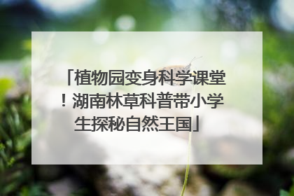 植物园变身科学课堂！湖南林草科普带小学生探秘自然王国