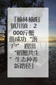 榆林榆阳镇川镇：2000斤蟹苗成功“落户” 蹚出“稻蟹共生”生态种养新路径