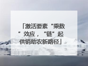 激活要素“乘数”效应，“链”起供销助农新路径