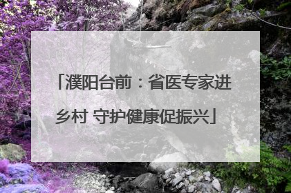 濮阳台前：省医专家进乡村 守护健康促振兴
