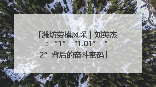 潍坊劳模风采｜刘英杰：“1”“1.01”“2”背后的奋斗密码