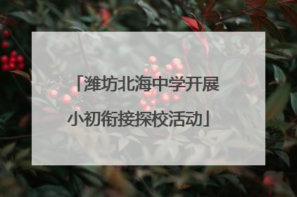 潍坊北海中学开展小初衔接探校活动