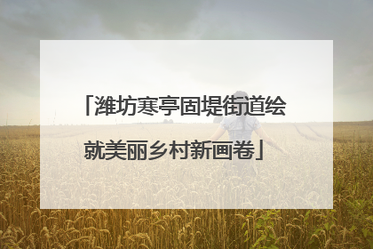 潍坊寒亭固堤街道绘就美丽乡村新画卷