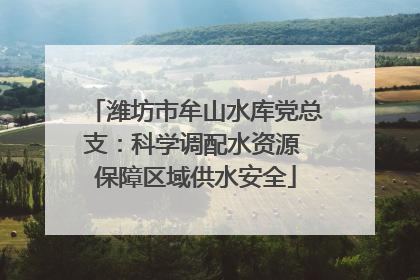 潍坊市牟山水库党总支：科学调配水资源 保障区域供水安全