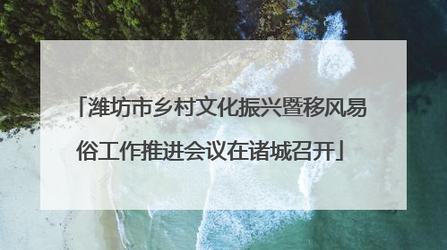 潍坊市乡村文化振兴暨移风易俗工作推进会议在诸城召开