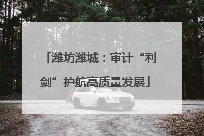潍坊潍城：审计“利剑”护航高质量发展