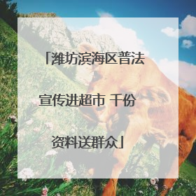 潍坊滨海区普法宣传进超市 千份资料送群众