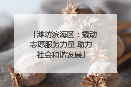 潍坊滨海区：撬动志愿服务力量 助力社会和谐发展