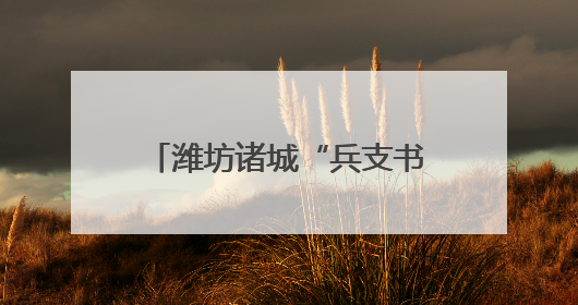 潍坊诸城“兵支书”李炜：让村民在家门口实现“就业”