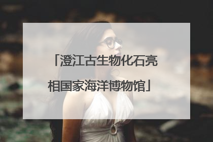澄江古生物化石亮相国家海洋博物馆