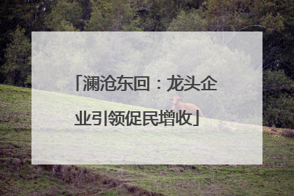 澜沧东回：龙头企业引领促民增收