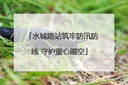 水城路站筑牢防汛防线 守护童心晴空