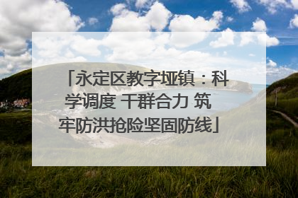永定区教字垭镇：科学调度 干群合力 筑牢防洪抢险坚固防线