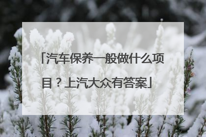 汽车保养一般做什么项目？上汽大众有答案