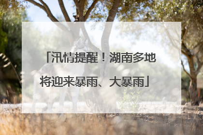 汛情提醒！湖南多地将迎来暴雨、大暴雨