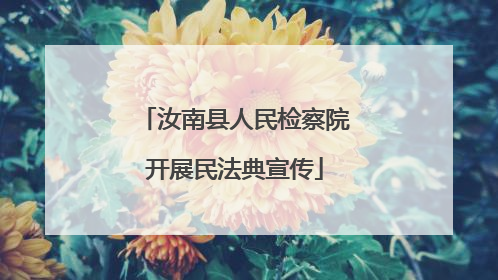 汝南县人民检察院开展民法典宣传