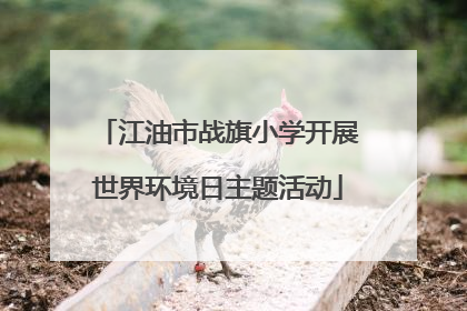 江油市战旗小学开展世界环境日主题活动