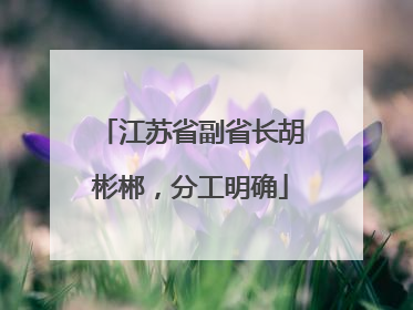 江苏省副省长胡彬郴，分工明确