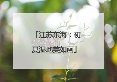 江苏东海：初夏湿地美如画