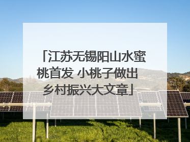 江苏无锡阳山水蜜桃首发 小桃子做出乡村振兴大文章