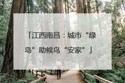 江西南昌：城市“绿岛”助候鸟“安家”