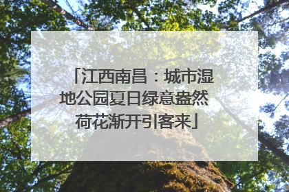 江西南昌：城市湿地公园夏日绿意盎然 荷花渐开引客来