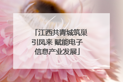 江西共青城筑巢引凤来 赋能电子信息产业发展