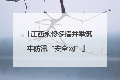 江西永修多措并举筑牢防汛“安全网”