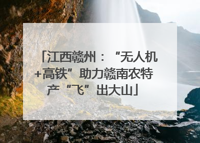 江西赣州：“无人机+高铁”助力赣南农特产“飞”出大山