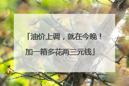 油价上调，就在今晚！加一箱多花两三元钱