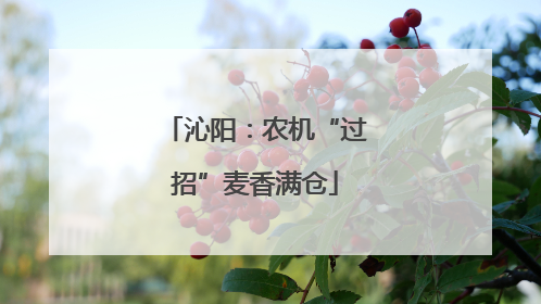 沁阳：农机“过招”麦香满仓