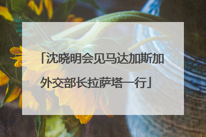 沈晓明会见马达加斯加外交部长拉萨塔一行