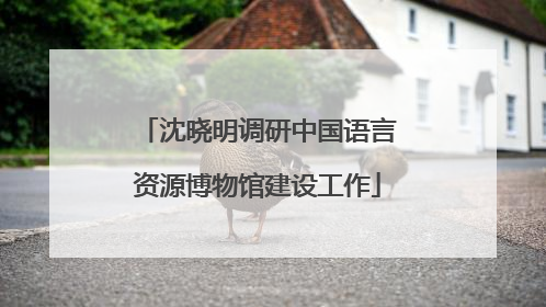 沈晓明调研中国语言资源博物馆建设工作