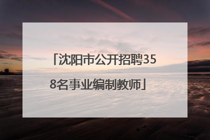 沈阳市公开招聘358名事业编制教师