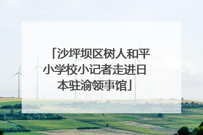 沙坪坝区树人和平小学校小记者走进日本驻渝领事馆