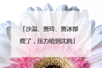 沙溢、贾玲、贾冰都瘦了，压力给到沈腾