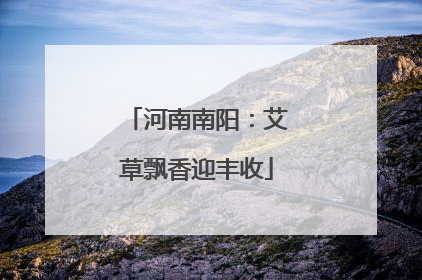 河南南阳：艾草飘香迎丰收