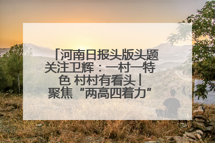 河南日报头版头题关注卫辉：一村一特色 村村有看头 ︳聚焦“两高四着力”·一“县”观察