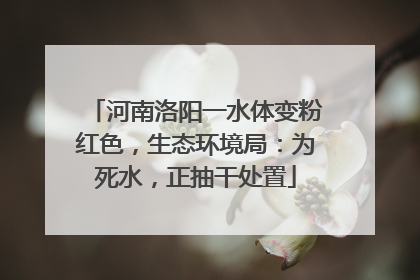 河南洛阳一水体变粉红色，生态环境局：为死水，正抽干处置