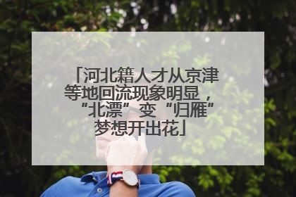 河北籍人才从京津等地回流现象明显，“北漂”变“归雁” 梦想开出花