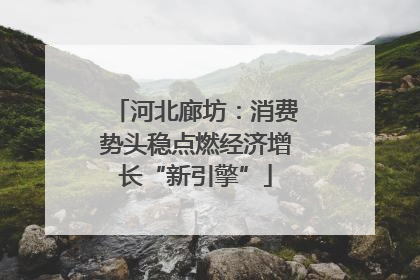 河北廊坊：消费势头稳点燃经济增长“新引擎”