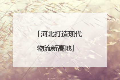 河北打造现代物流新高地
