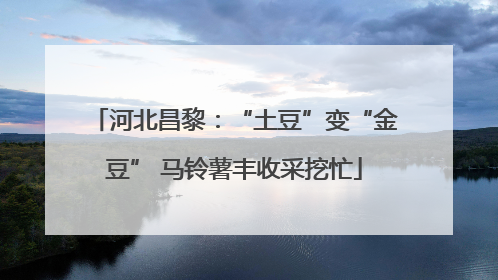 河北昌黎：“土豆”变“金豆” 马铃薯丰收采挖忙