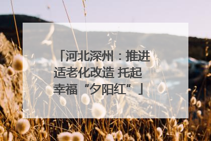 河北深州：推进适老化改造 托起幸福“夕阳红”