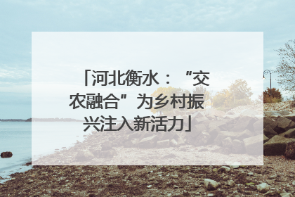 河北衡水：“交农融合”为乡村振兴注入新活力