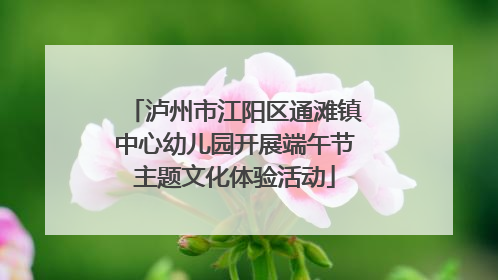 泸州市江阳区通滩镇中心幼儿园开展端午节主题文化体验活动