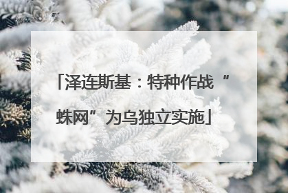 泽连斯基：特种作战“蛛网”为乌独立实施