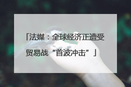 法媒：全球经济正遭受贸易战“首波冲击”