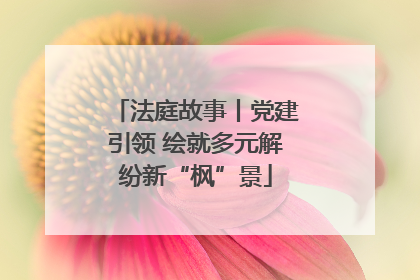 法庭故事丨党建引领 绘就多元解纷新“枫”景